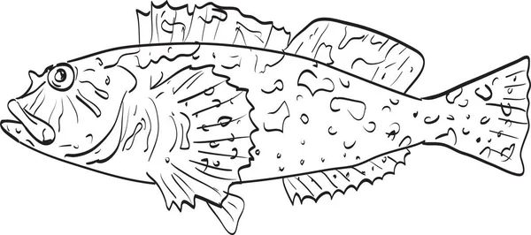 Cabezon Rockfish Side View Rysunek Kreskówek — Wektor stockowy