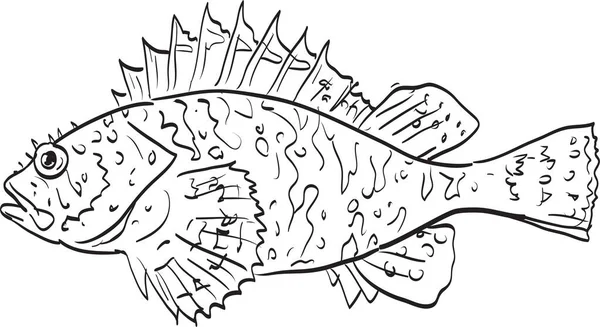 California Scorpionfish Vue Côté Dessin Animé — Image vectorielle