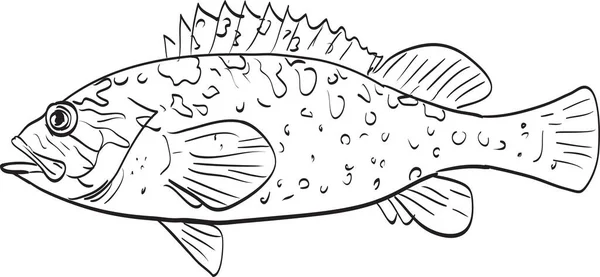 Trawa Rockfish Side View Rysunek Kreskówki — Wektor stockowy