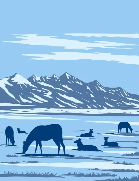 Wpa Nın Wapiti Geyik Poster Sanatı Jackson Hole Wyoming Amerika — Stok Vektör