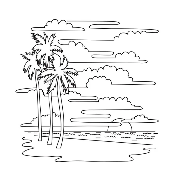 Hollywood Plajı Ndaki Palmiye Ağaçlarının Tekli Çizimi Fort Lauderdale Ile — Stok Vektör