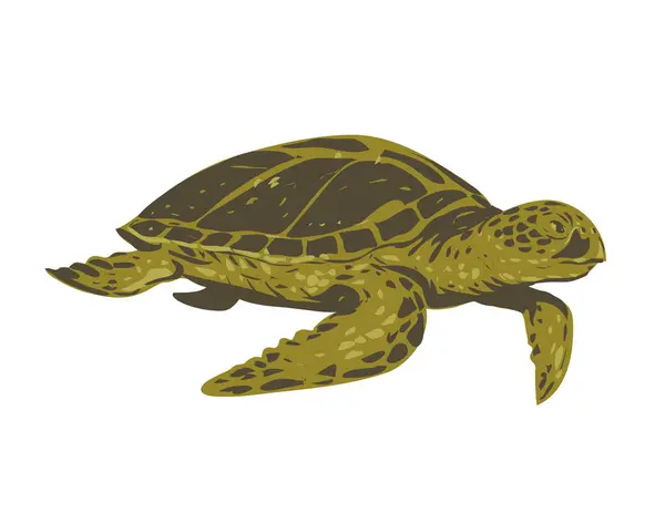 거북이의 Wpa 포스터 일컬어 거북이 태평양 거북이 프로젝트 프로젝트 작풍에서 — 스톡 벡터