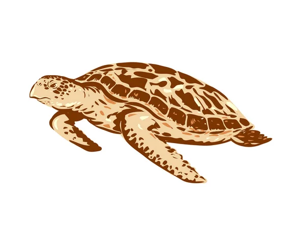 从工程项目管理或联邦艺术项目风格的侧面看Wpa的小贩 海龟或Eretmochelys Imbricata游泳海报艺术 — 图库矢量图片