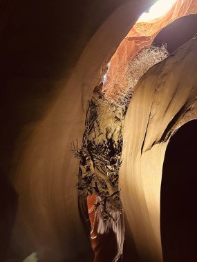 ABD, Arizona, Lechee yakınlarındaki Powell Gölü Navajo Kabile Parkı 'ndaki Navajo Yukarı Antilop Kanyonu' ndaki kütük, enkaz ya da sürüklenen odun stoklarının fotoğrafı..