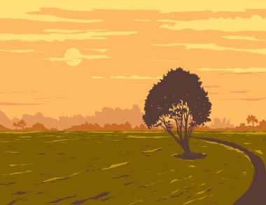 WPA poster sanatı, Margaret Griffen Park, Roskill Dağı, Auckland, Yeni Zelanda 'daki bir ağacın çalışma projesi yönetimi veya federal sanat projesi tarzında yapılmasıdır.