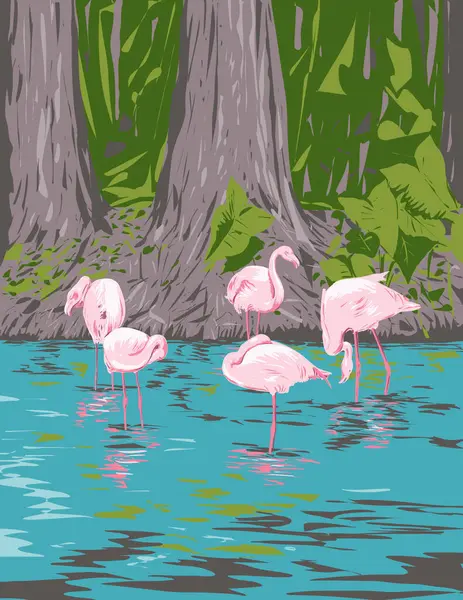 Wpa Poster Art Group Flamingo Flamboyance Everglades National Park Florida — Stock Vector