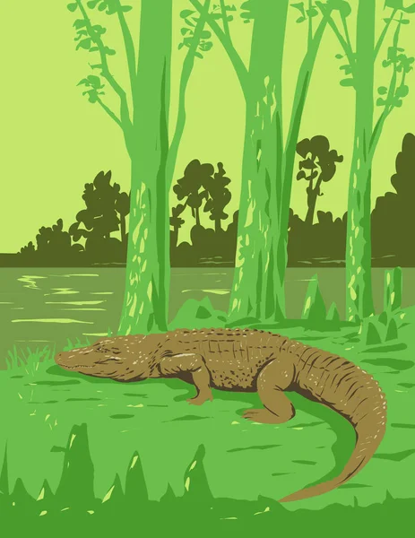 Art Deco Wpa Poster Alligator Jean Lafitte National Historical Park — Stock Vector