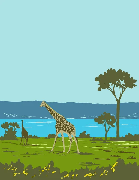 Manifesto Art Deco Wpa Una Giraffa Giraffa Camelopardalis Nel Parco — Vettoriale Stock