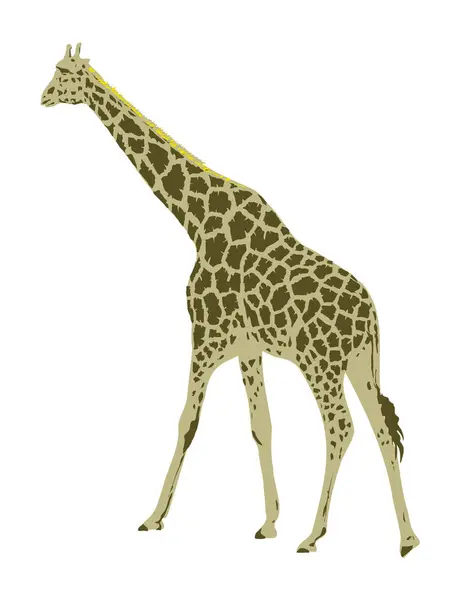 Art Deco Або Wpa Плакат Жирафа Або Giraffa Camelopardalis Вид — стоковий вектор