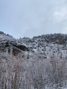 Clear Creek Canyon 'un veya Clear Creek Trail and Water Park' ın fotoğrafı Golden, Colorado, Amerika Birleşik Devletleri 'nde çekilmiştir..