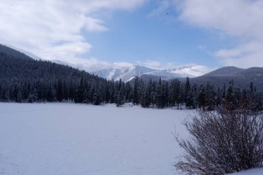 Fotoğraf: Blue Sky Dağı Rocky Dağı Ulusal Parkı Kuzey Colorado, ABD.