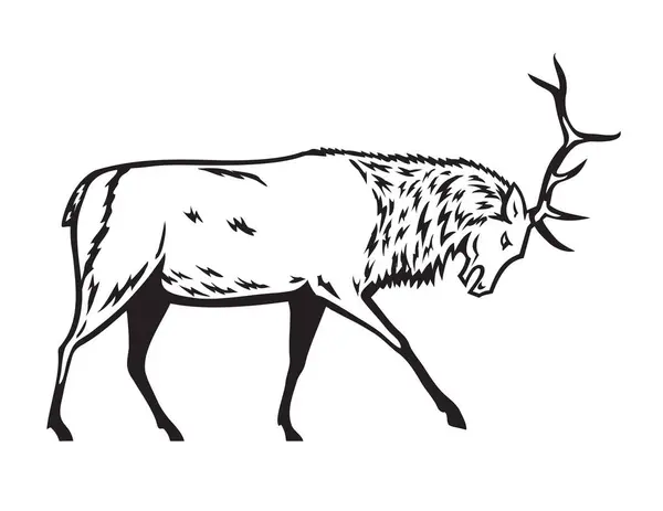 Ilustración Una Mascota Alce Toro Cervus Canadensis Wapiti Una Especie — Vector de stock