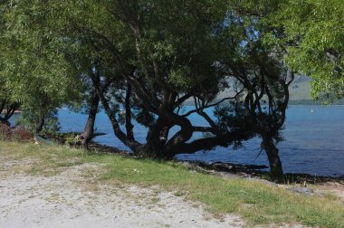 Göl manzaralı Wakatipu Gölü ya da Whakatipu wai-maori ve Yeni Zelanda 'nın Güney Adası, Otago bölgesindeki The Remarkables.