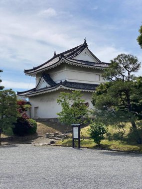 Bir Pinus thunbergii fotoğrafı, siyah çam, Japon kara çamı Motorikyu 'daki Japon çamı veya Japonya' daki Moto-Rikyu Nijo Kalesi. 
