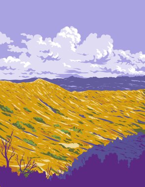 WPA poster sanatı Hawaii 'deki Diamond Head State Anıtı' ndaki Elmas Kafa Krateri 'nin zirvesinden ABD' nin çalışma projesi yönetimi veya federal sanat projesi tarzında yapılmıştır.