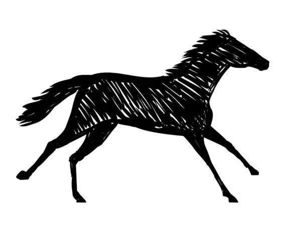 stock vector Drawing sketch style illustration of a horse stallion or pony racing running galloping side view on isolated background done in black and white ilne art.