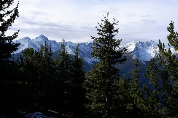 Kanada Alberta 'daki Banff Ulusal Parkı' ndaki Kanada Kayalık Dağları 'nda Sundance Sıradağlarının Fotoğrafı.