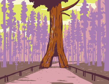 ABD 'nin Kaliforniya eyaletinin Yosemite Ulusal Parkı' nın güney kesiminde yer alan Mariposa Grove of Giant Sequoias 'ın WPA poster sanatı proje yönetimi veya federal sanat projesi tarzında yapılmıştır..