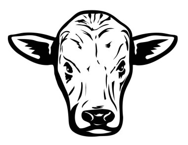 Kuzey İtalya 'nın Romagnola boğasının maskotunun resmi Podolik bir grup İtalyan gri sığırı siyah-beyaz arka planda izole edilmiş.