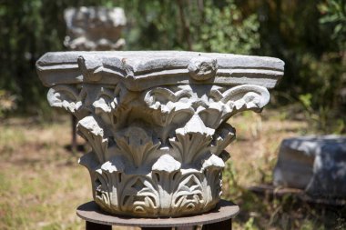 Yakından bir Sütun Başkenti