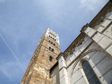 Lucca 'daki Guinigi Kulesi, yerden görüldü.