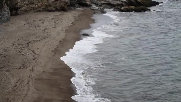 Vlny Písečné Pláži Postrádající Lidi Ale Stopami Point Reyes Národní — Stock video