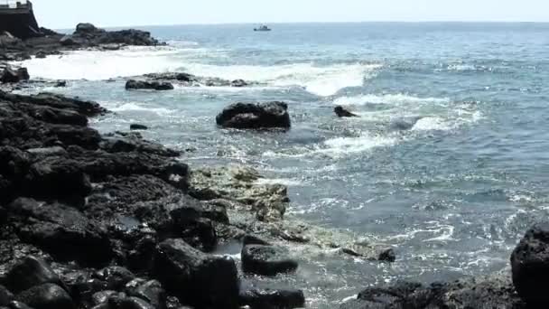 背景に黒い溶岩の海岸に浮かぶハワイの海の波 Small Boat — ストック動画