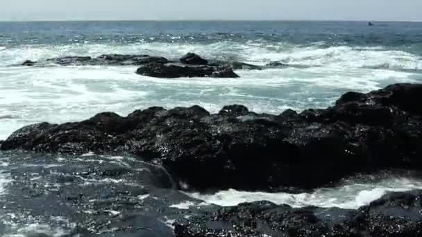 Океанські Хвилі Над Чорною Лавою Великий Острів Кона — стокове відео