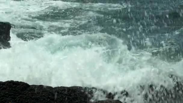 Hawaii Büyük Adası Kara Lava Kaya Sahili Vuran Dalgaların Sıkışık — Stok video