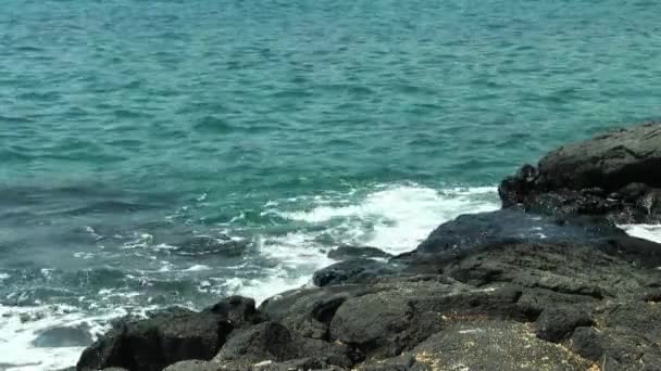 Océano Olas Suavemente Surgen Sobre Costa Roca Volcánica Negra Hawaii — Vídeo de stock