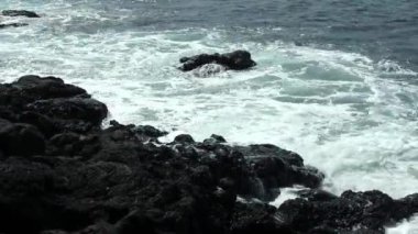 Hawaii 'ye doğru gelen dalgalar Büyük Ada' da kırılıyor Siyah Volkanik Kaya Sahili
