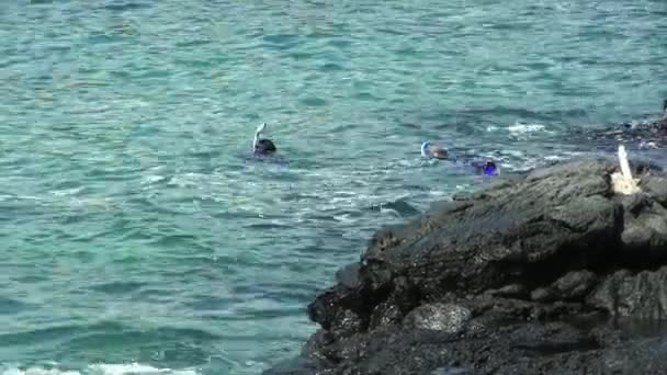 Χαβάη Big Island Snorkelers Black Volcanic Rock Shore Στην Επιφάνεια — Αρχείο Βίντεο