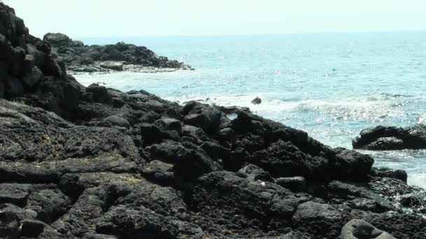 Canot Pagaie Personne Simple Travers Écran Hawaii Big Island Sea — Video