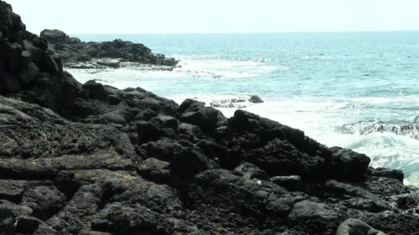 Big Island Hawaii Vagues Océan Contre Côte Rocheuse Volcanique Noire — Video