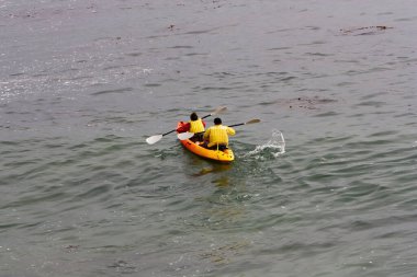Monterey Körfezi Kaliforniya 'da Sarı Lifevest' te kiralık kanoyla kürek çeken iki kişi.