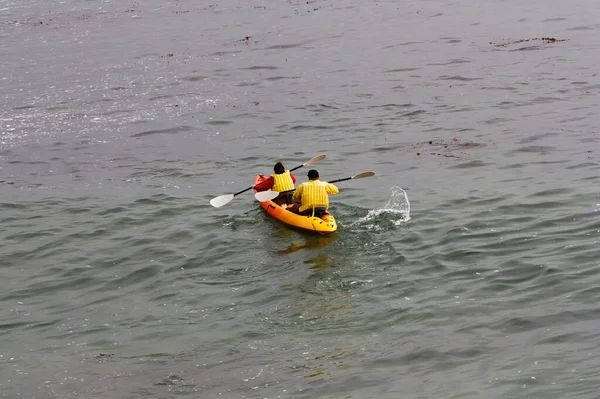 Dva Lidé Pádlování Zapůjčení Kajak Žluté Záchranné Vesty Monterey Bay — Stock fotografie