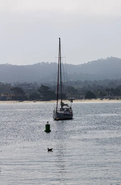 Single Sailboat Moored To Buoy Monterey Bay California With Hills In Background Overcast Sky