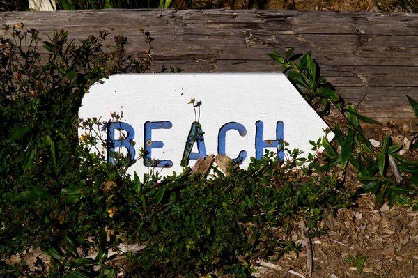 木刻在地面上 反对用绿色植物做圆木 并在白色背景下指着蓝色的海滩信件叫道 — 图库照片