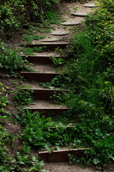 Path Leading Hill Wood Bordered Dirt Steps Cement Steping Stones — Stok Foto