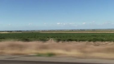 Handheld Shot Of Countryside From Moving Car Central Valley California Orchards