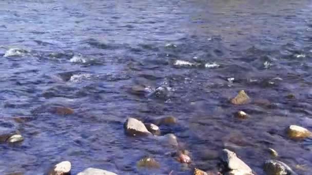 Σφιχτά Βολή Του Αμερικανικού Ποταμού Νερού Που Ρέει Πάνω Από — Αρχείο Βίντεο