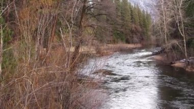 Handheld Pan Across Merced River With Winter Bare Trees And A Little Snow