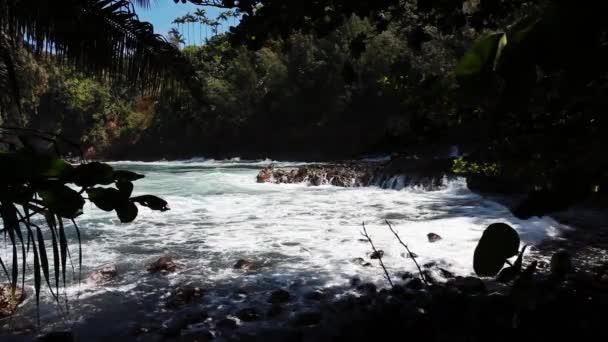 Волны Идущие Бухту Рокки Шор Пышной Растительностью Большой Остров Гавайи — стоковое видео