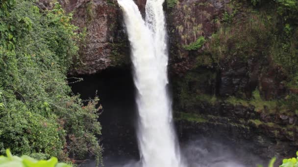 Water Cascading Cliff Hilo Hawaii Rainbow Falls Big Island — Stockvideo