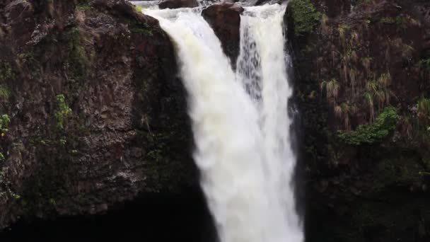 Water Cascading Cliff Hilo Hawaii Rainbow Falls Big Island — Vídeos de Stock