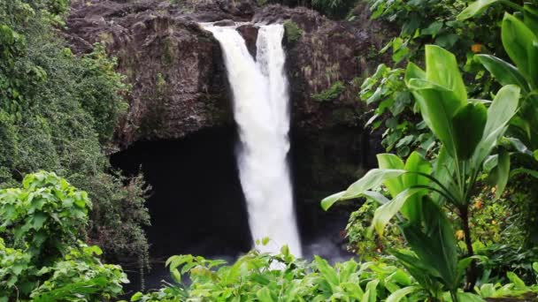 Водяний Каскад Скелі Гіло Гавайський Водоспад Райдуга Великий Острів Рослинами — стокове відео