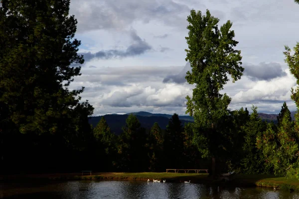 Landscape Pond White Ducks Foreground Green Trees Hills Plenty Clouds — Stock Photo, Image