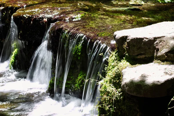Водоспад Малих Струмків Зеленими Рослинами Скелями — стокове фото