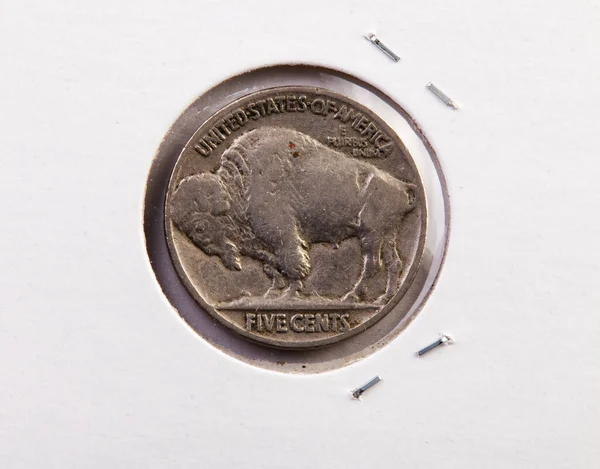 Хвіст Сторона Старих Сполучених Штатів Нікнейм Монета Баффало Білому Захисному — стокове фото