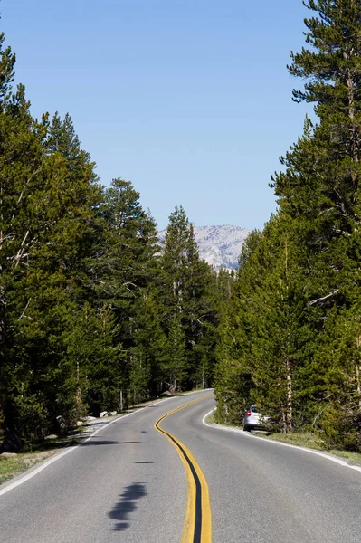 Two Lane Road National Park Pine Trees Car Pulled — Stock Photo, Image
